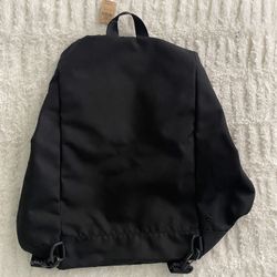 Vs PINK Luggage Backpack