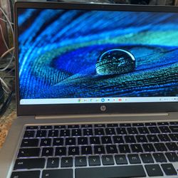 Hp Chromebook Laptop 