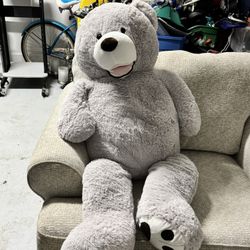 Teddy Bear