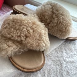 Ugg Slippers 
