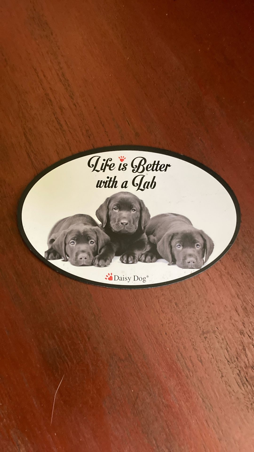 Daisy dog magnet