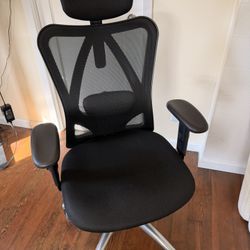 Ergonomic Office Chair