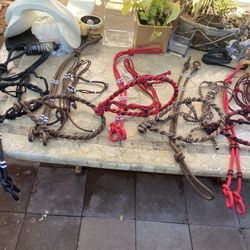 Bosalillo Con Riendas