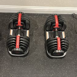 bowflex dumbbells 552