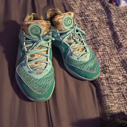 Nike Kd 16