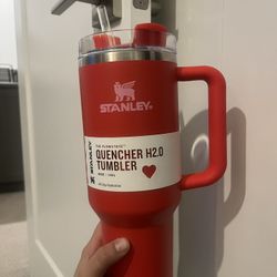 Valentines Stanley 40oz
