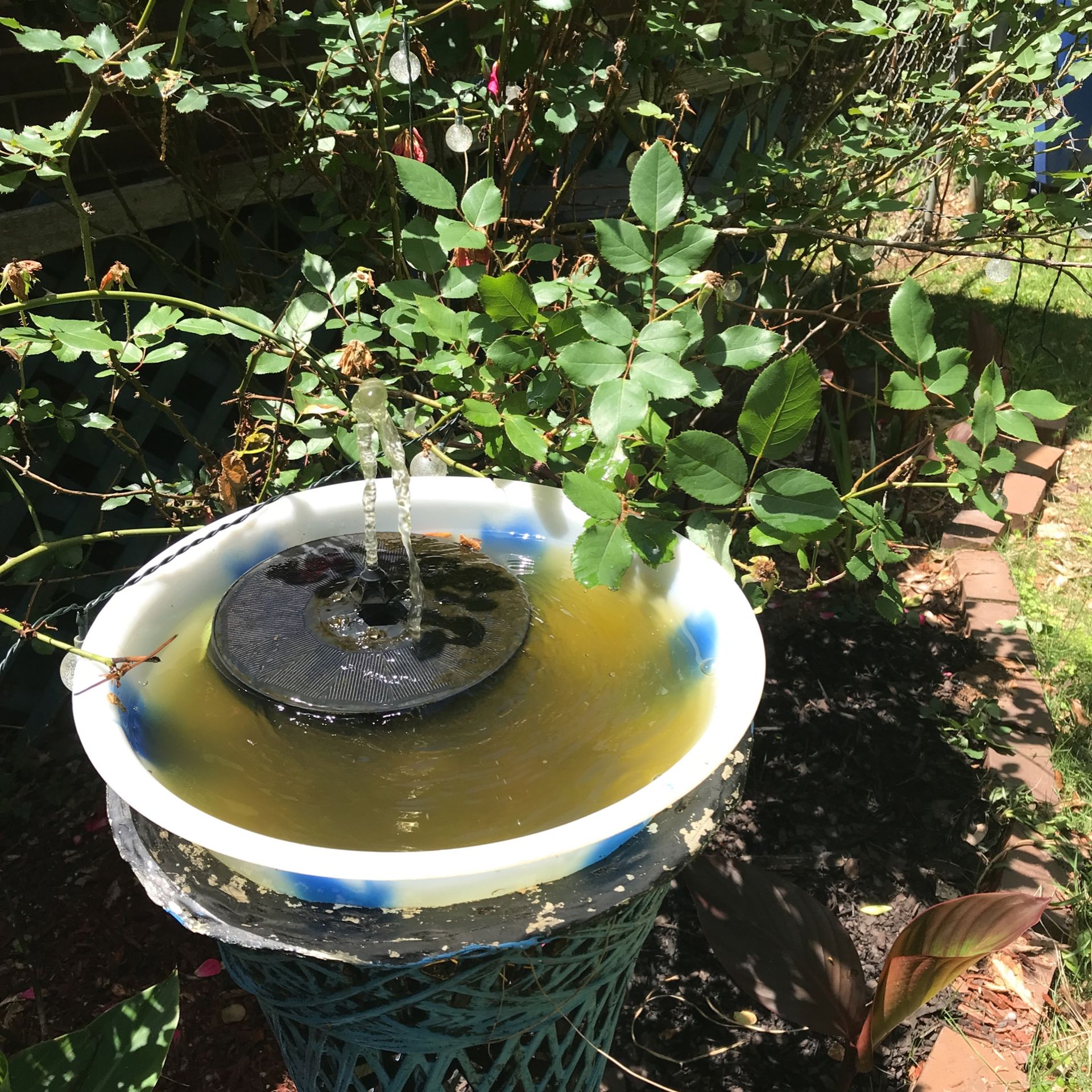 Solar water fountain