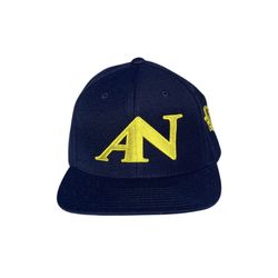 Ankhenaten Fitted Flat Bill 