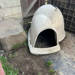 Dog Igloo house