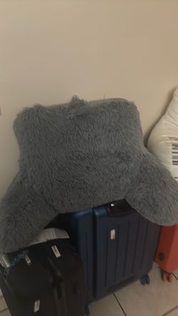 Bed rest pilot 2 for the price of one