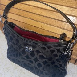 Coach Small Hand Bag