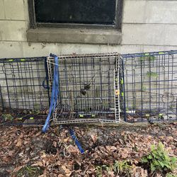  Crab Traps (3)