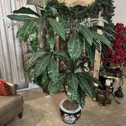 Fake Plant And Ceramic Pot