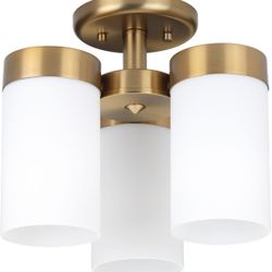 Progress Lighting P350040-109 Elevate Close-to-Ceiling