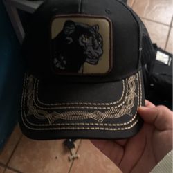 Panthers Pat