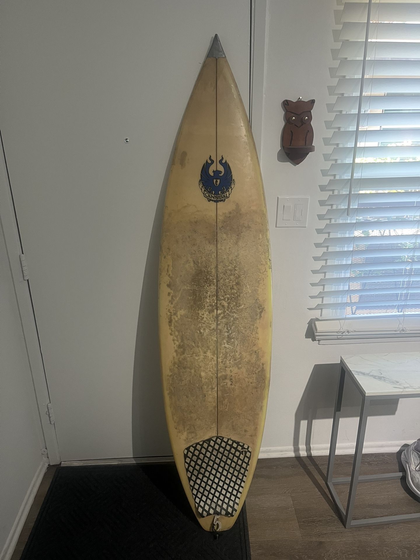 Surfboard Cannibal- Bullet