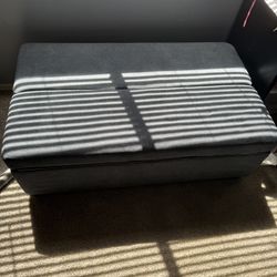 Brand New Pull Out Twin Bed