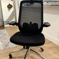 Ergonomic Chair with Headrest