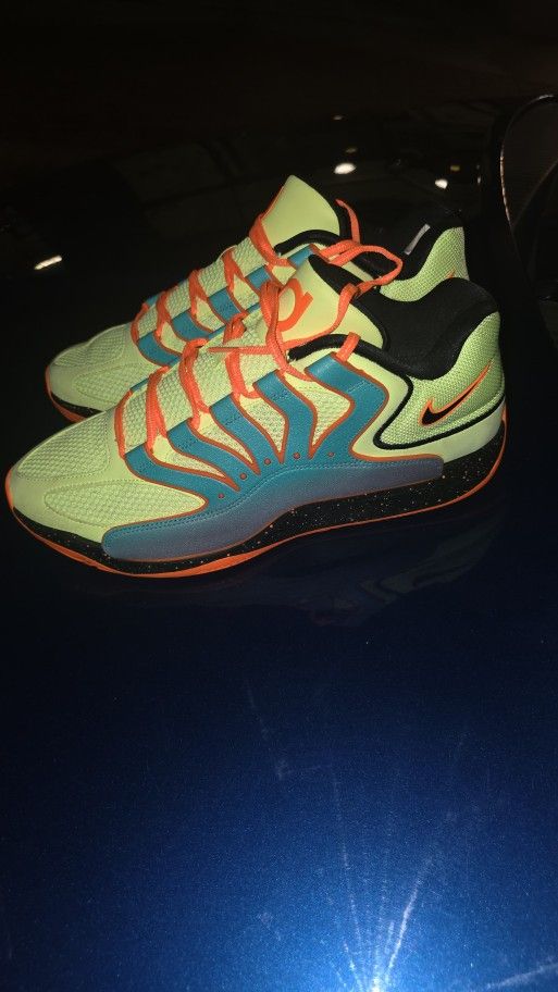 New KD'S 2025 -EDITION 