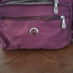 Maroon / Eggplant purse