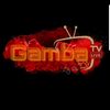 GAMBA TV