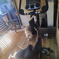 Exercise Bike