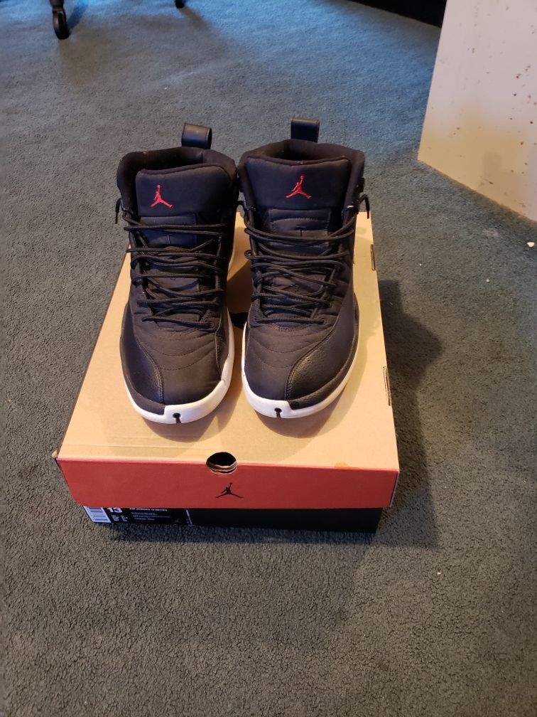 ***Jordan 12 retro Nylon***