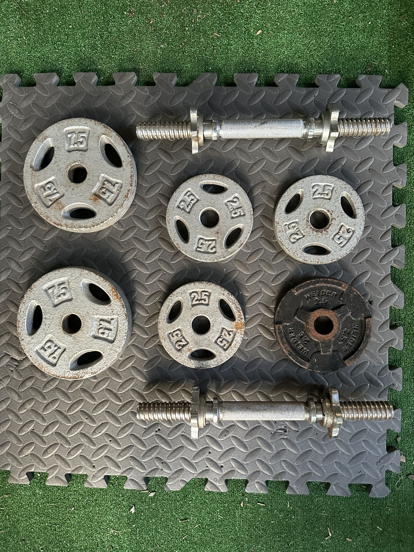 Two dumbbell handles and standard 1” weights plates