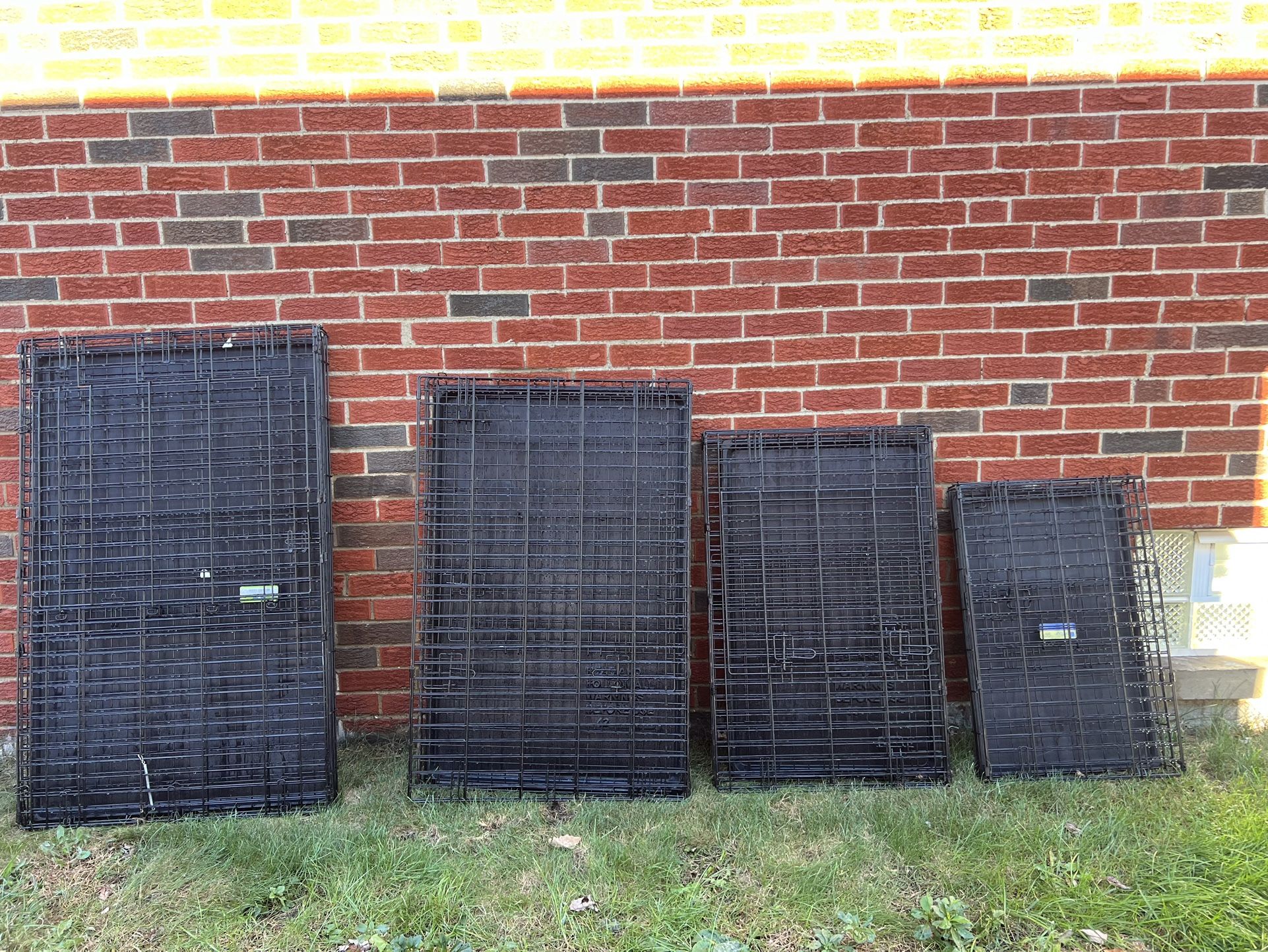 Dog Cages