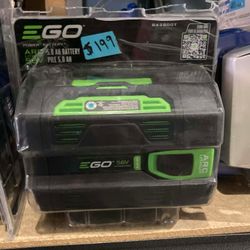 Ego 56V 5.0 AH Lithium Battery