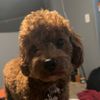 Sergio 