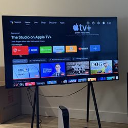 Sony 65” TV with Adjustable Stand
