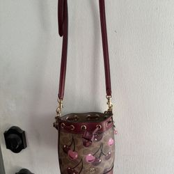Coach Cherry Mini Bucket 