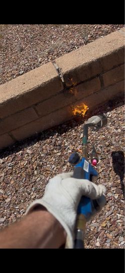 Burn weeds