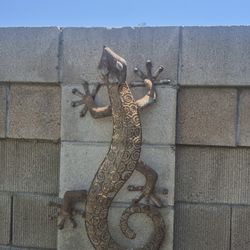 Large Yard Lizard Or Iguana 