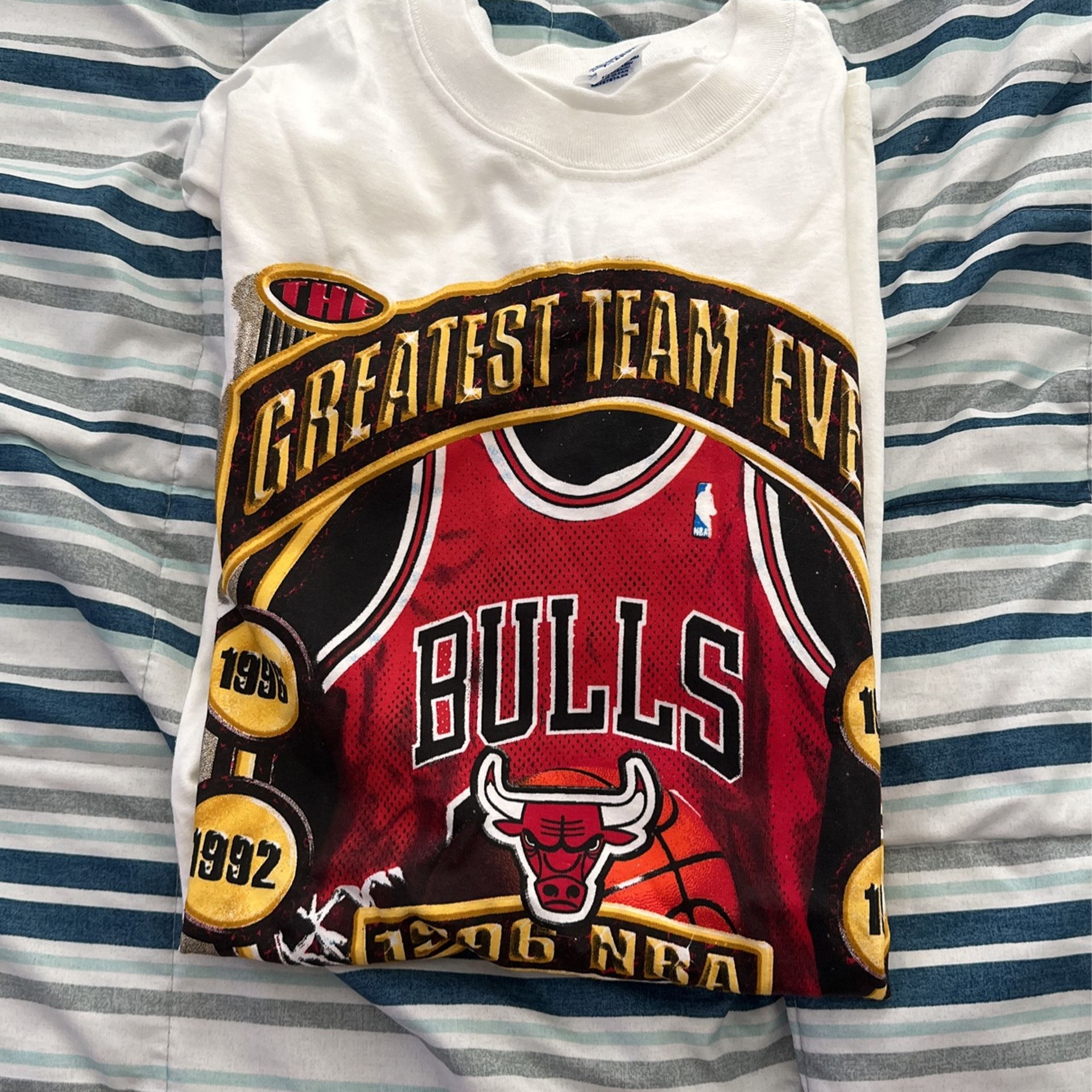 Vintage Starter Chicago Bulls 1996 NBA Champ Greatest Team Ever