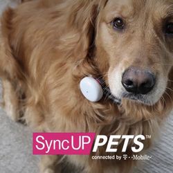 GPS For Pets