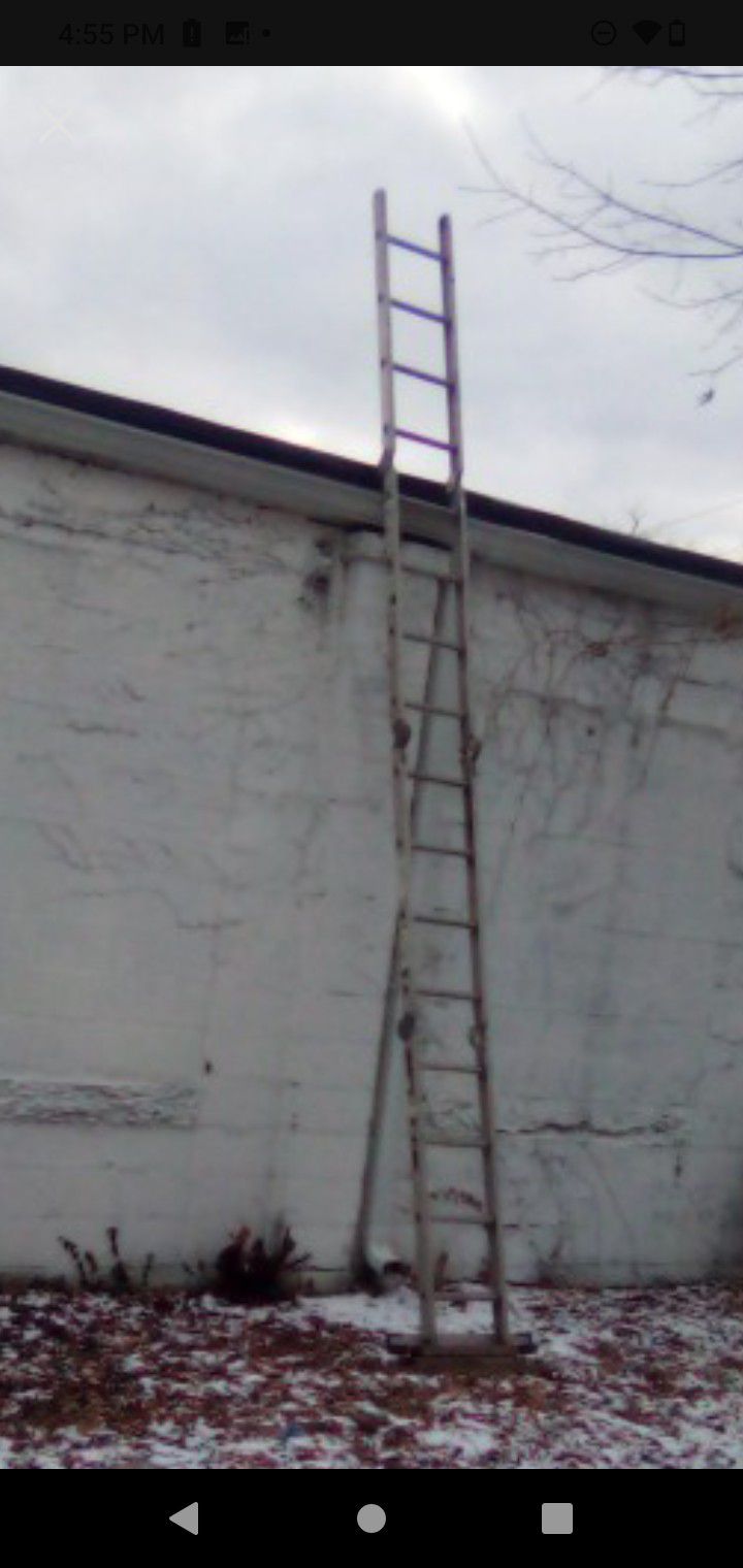 Ladder's 