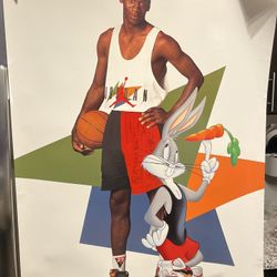 Vintage Michael Jordan space jam 1992 poster