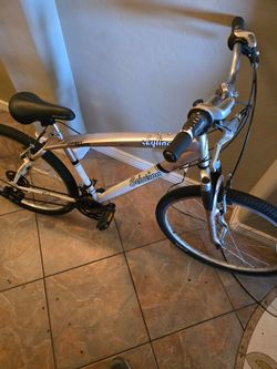 Schwinn skyliner