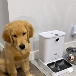 PIFI Auto Pet Feeder & Camera
