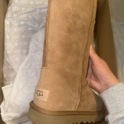 Uggs brand New