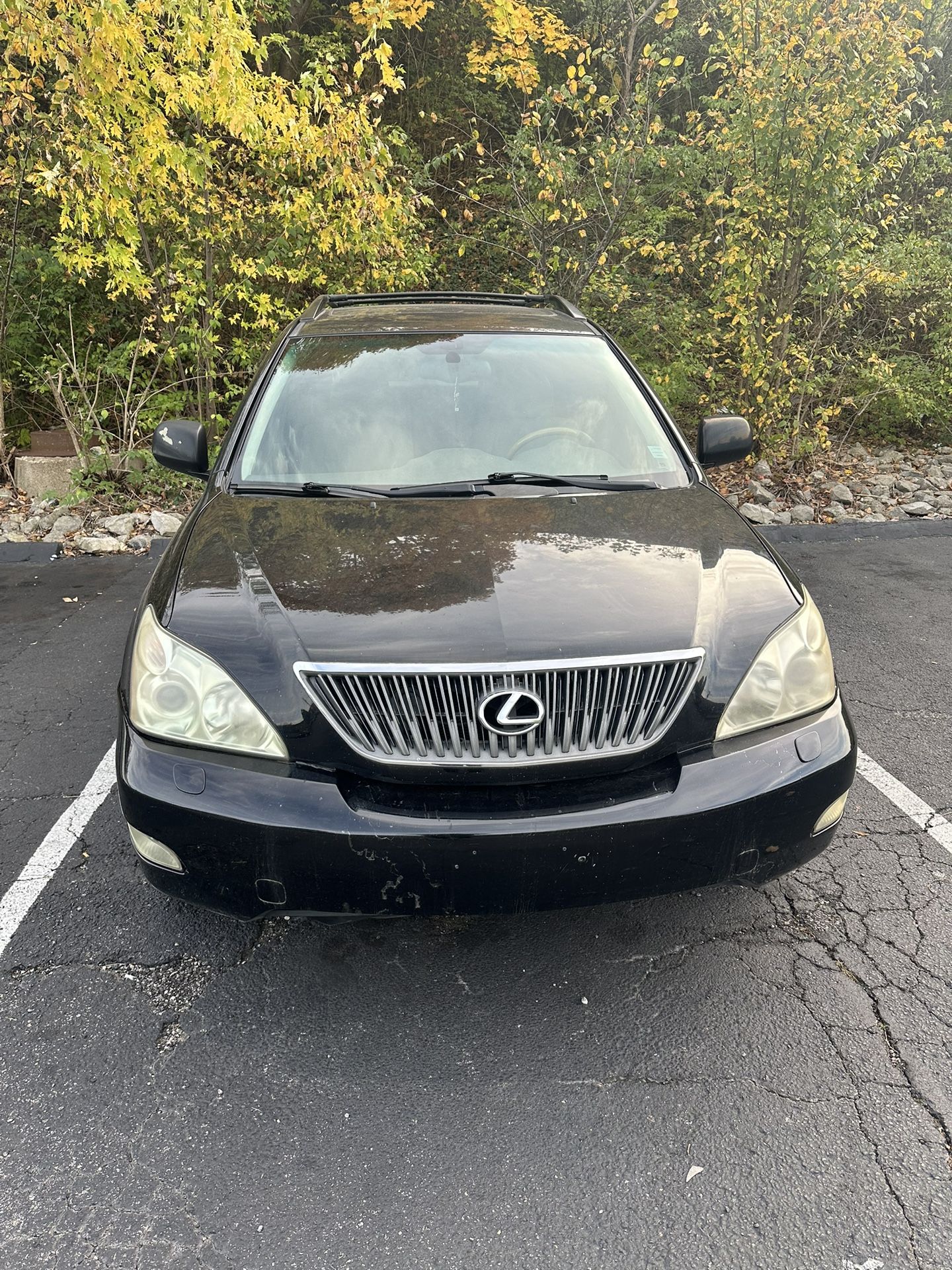 2004 Lexus Rx 330