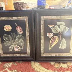 2 Framed Prints