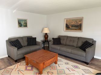 Gray sofas