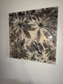 Grey Flowers Pictures 