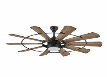 Ceiling fan