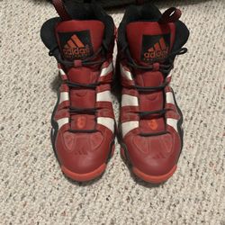 Size 13 Crazy 8 Kobes 
