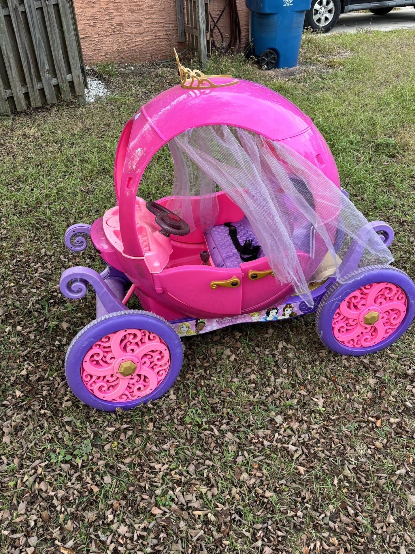 Princess Carriage