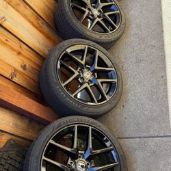 Wheels Wheels Wheels!!! Honda($700) , Vertini ($1,200) 